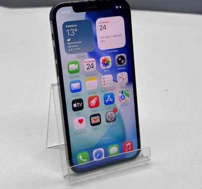 iPhone 12 Pro 256GB Graphite 100%